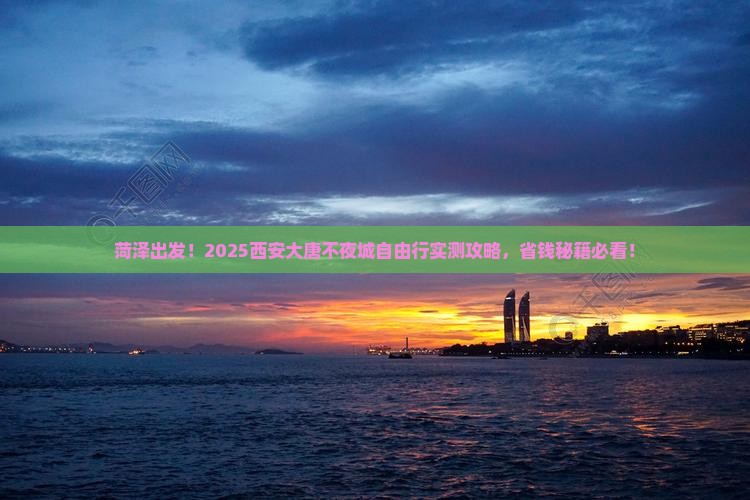 菏泽到西安大唐不夜城自由团
