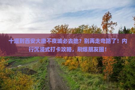十堰到西安大唐不夜城必去地