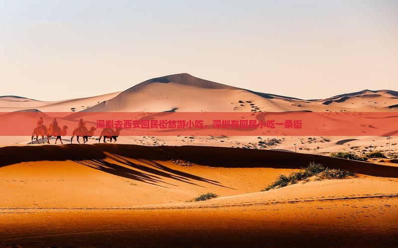深圳去西安回民街旅游小吃