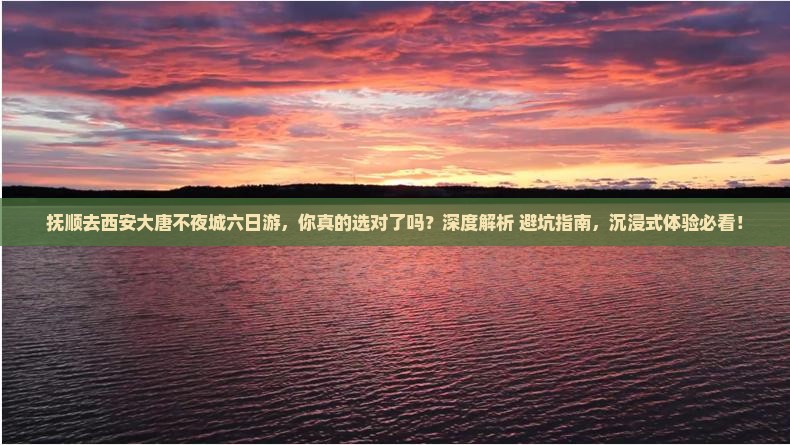 抚顺去西安大唐不夜城六日游