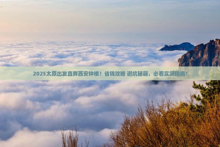 太原到西安钟楼旅行社