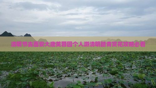 清明节去西安大唐芙蓉园个人游