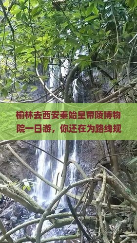 榆林去西安秦始皇帝陵博物院一日游