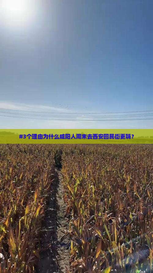 咸阳去西安回民街旅游