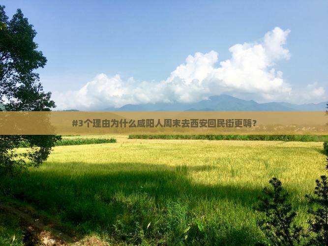 咸阳去西安回民街旅游