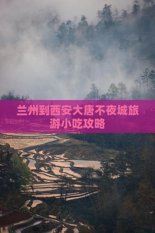 兰州到西安大唐不夜城旅游小吃