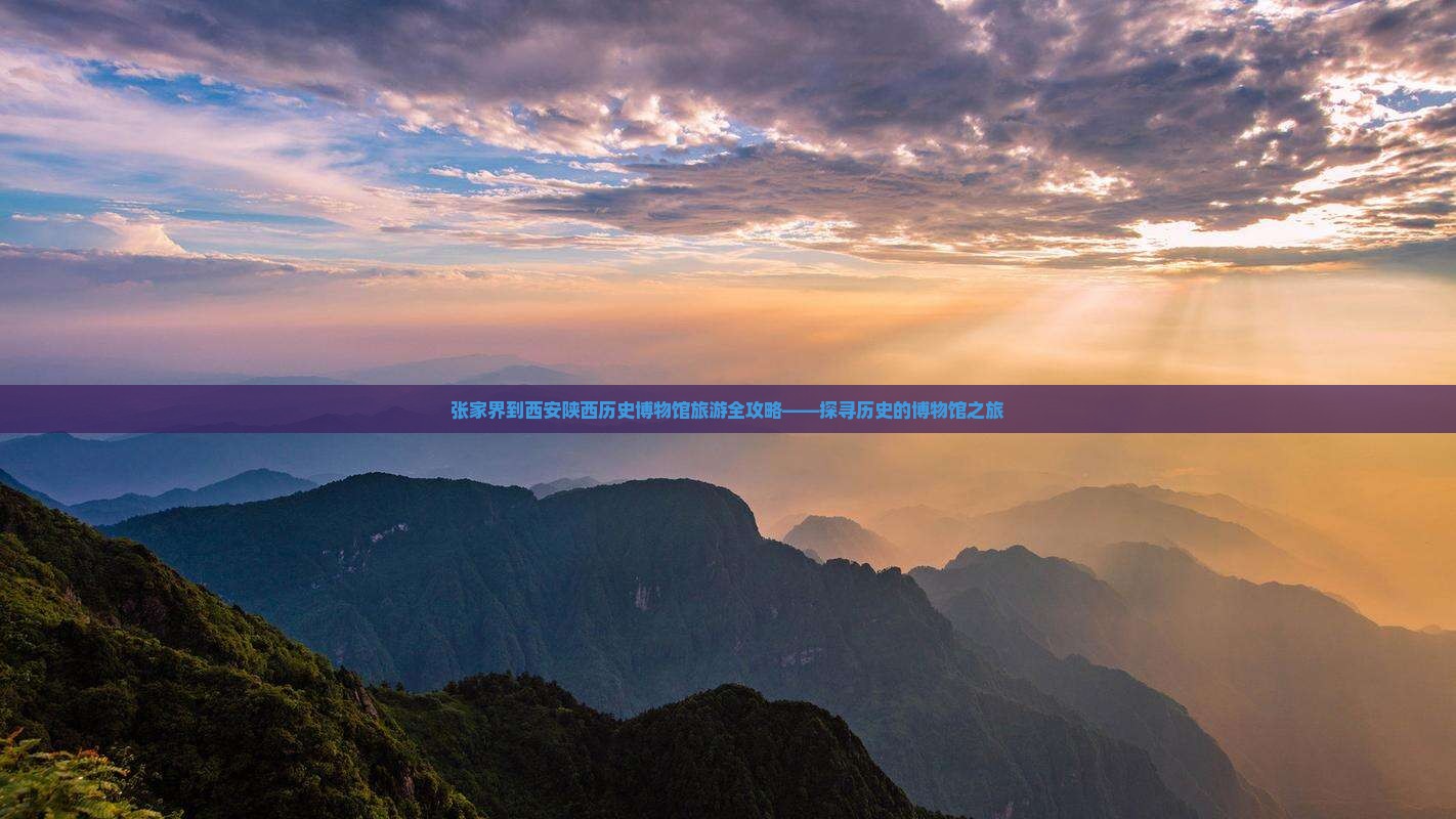 张家界去西安陕西历史博物馆旅游