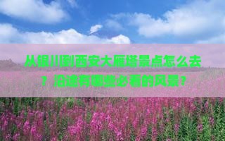 银川到西安大雁塔景点