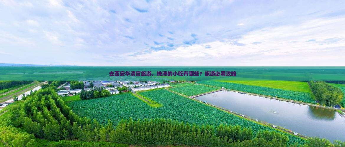 株洲去西安华清宫旅游小吃