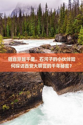 石河子到西安大明宫国家遗址公园个人游