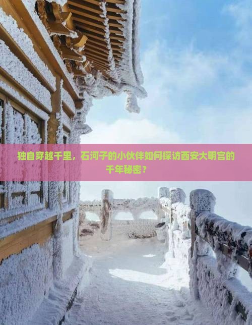 石河子到西安大明宫国家遗址公园个人游