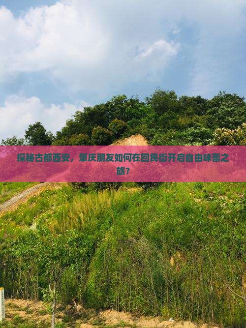 肇庆去西安回民街自由团