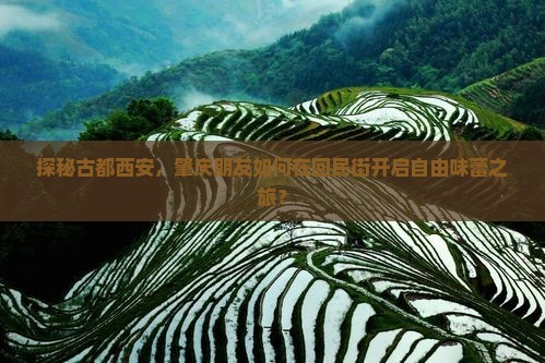 肇庆去西安回民街自由团