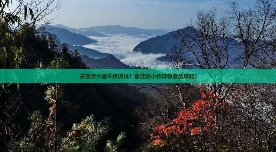 宿迁去西安大唐不夜城旅游