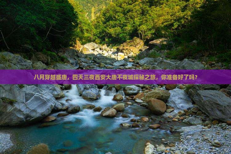 八月去西安大唐不夜城四日游
