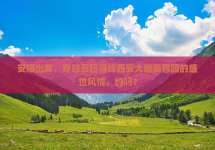 安顺去西安大唐芙蓉园五日游