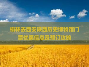 榆林去西安陕西历史博物馆门票