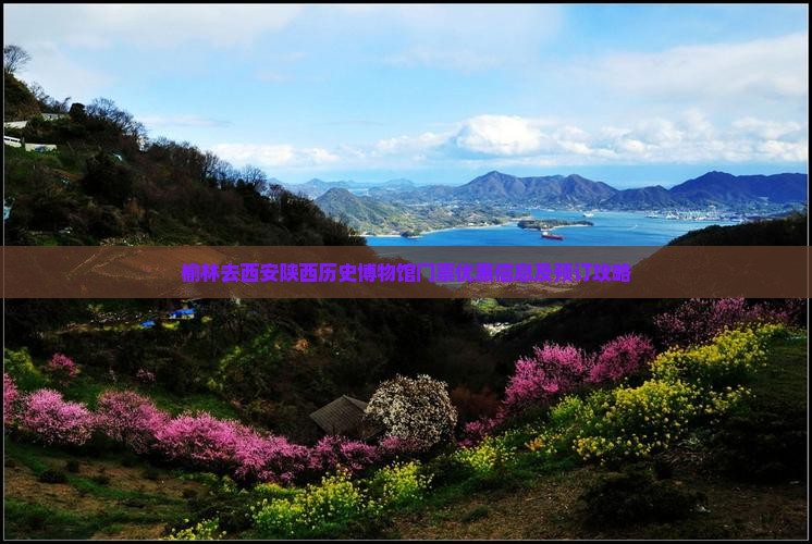 榆林去西安陕西历史博物馆门票