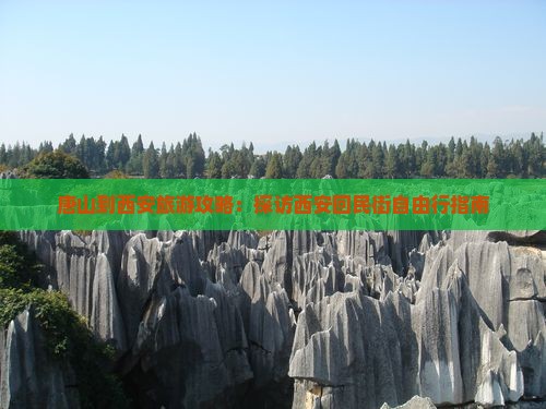 唐山到西安回民街自由团