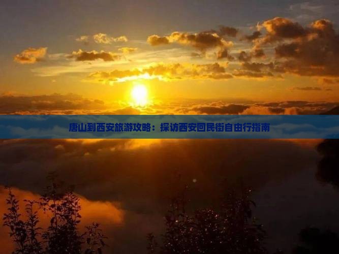 唐山到西安回民街自由团