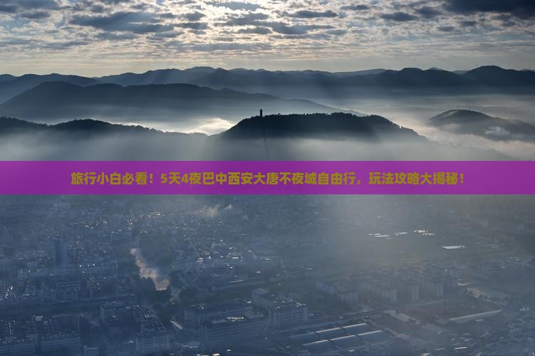 巴中到西安大唐不夜城自由团