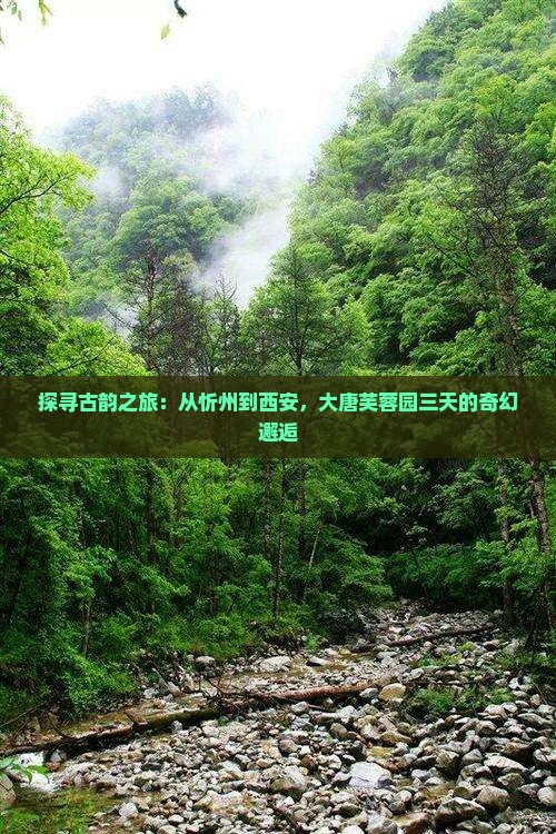 忻州去西安大唐芙蓉园三日游