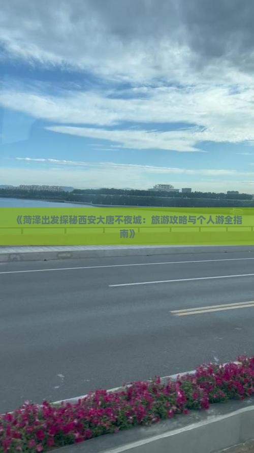 菏泽到西安大唐不夜城个人游