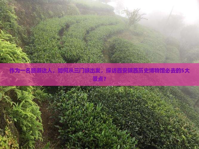 三门峡到西安陕西历史博物馆必去地