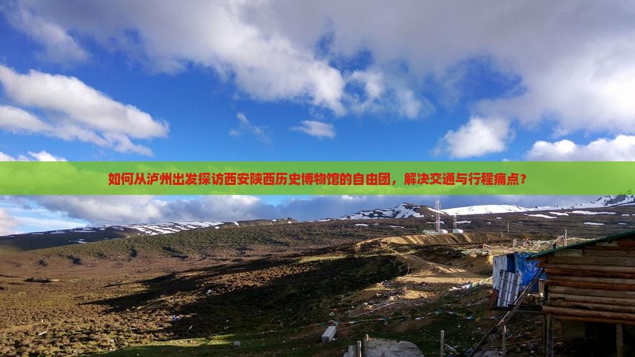 泸州到西安陕西历史博物馆自由团