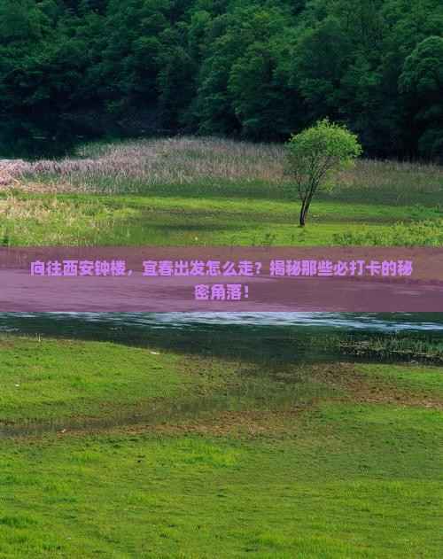 宜春去西安钟楼必去地
