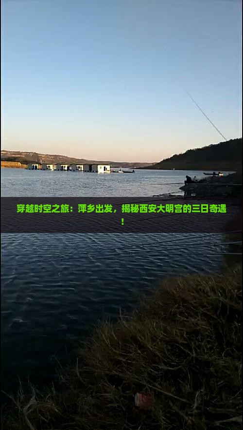 萍乡到西安大明宫国家遗址公园三日游
