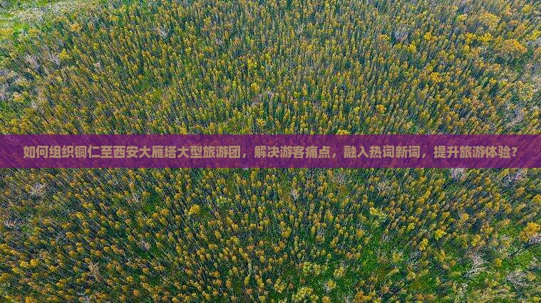 铜仁去西安大雁塔大型旅游团