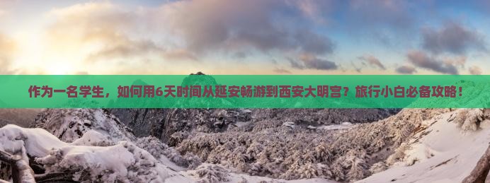 延安到西安大明宫国家遗址公园六日游