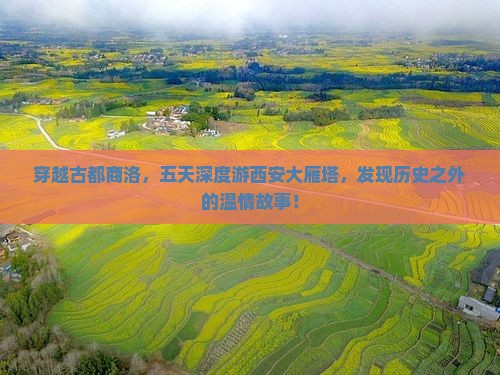商洛去西安大雁塔五日游