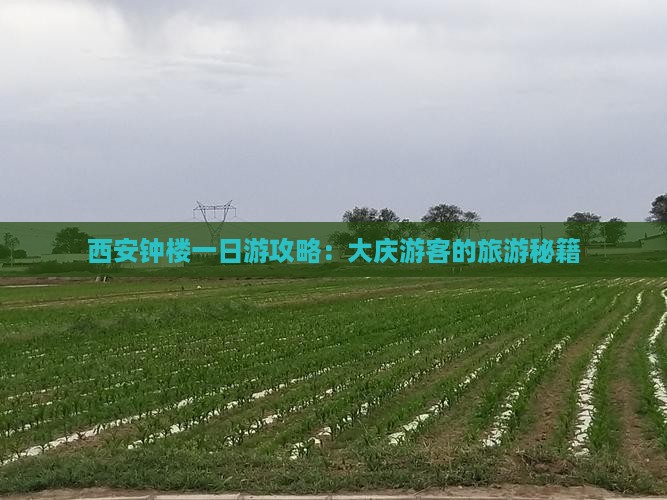 大庆到西安钟楼一日游