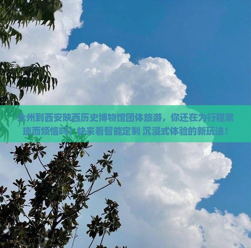 永州到西安陕西历史博物馆团体旅游