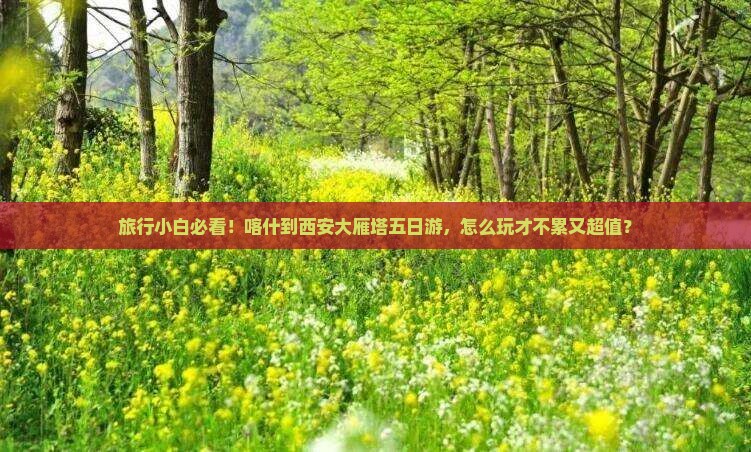 喀什到西安大雁塔五日游