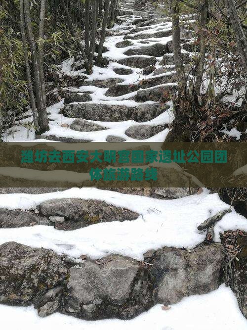 潍坊去西安大明宫国家遗址公园团体旅游