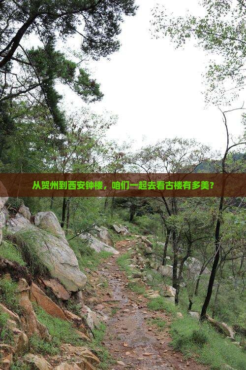 贺州到西安钟楼大型旅游团 贺州到西安钟楼大型旅游团