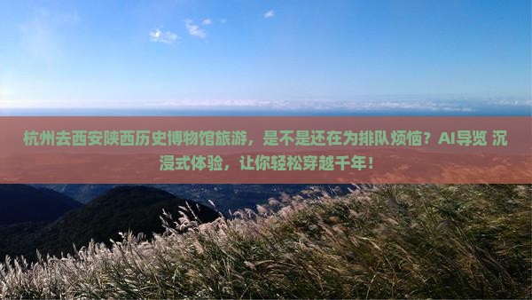 杭州去西安陕西历史博物馆旅游