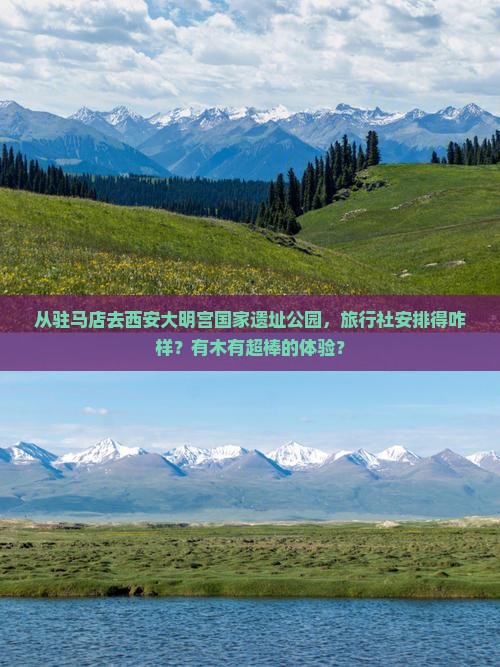 驻马店到西安大明宫国家遗址公园旅行社