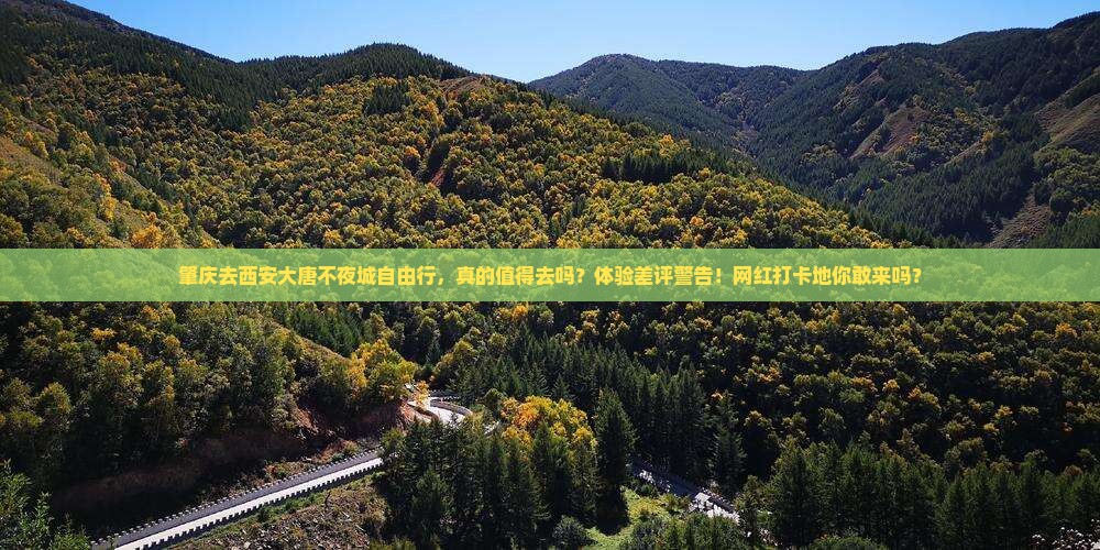 肇庆去西安大唐不夜城自由行