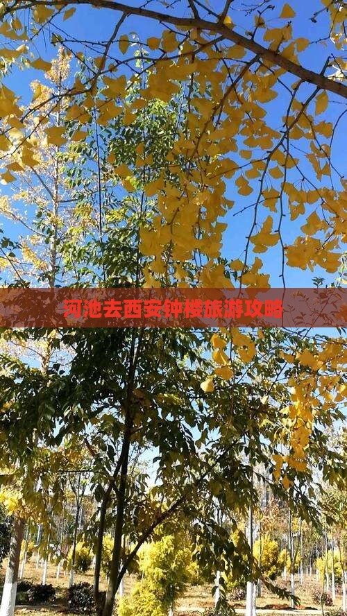 河池去西安钟楼大型旅游团