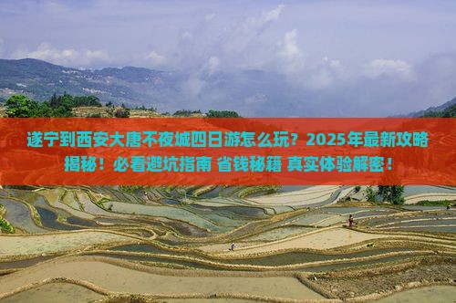 遂宁到西安大唐不夜城四日游