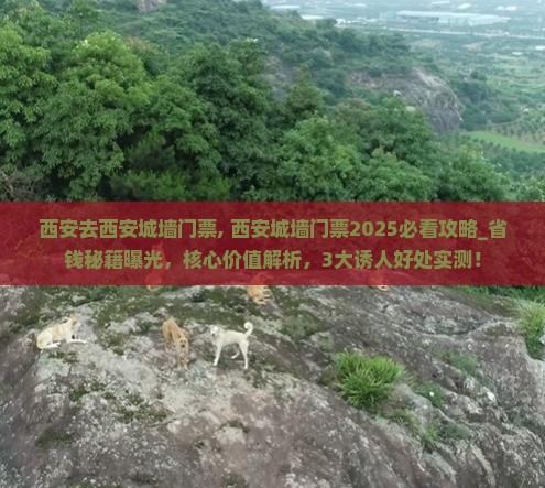 西安去西安城墙门票