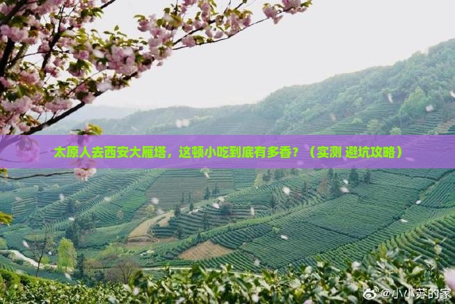 太原去西安大雁塔旅游小吃