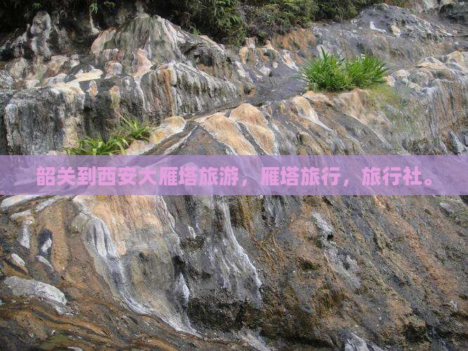 韶关去西安大雁塔旅行社