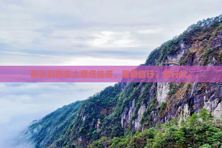 韶关去西安大雁塔旅行社