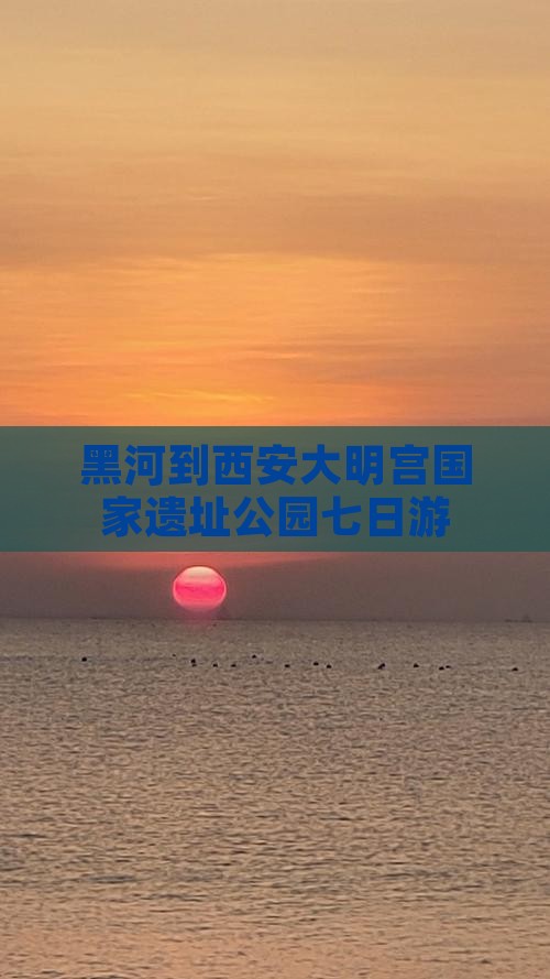 黑河到西安大明宫国家遗址公园七日游