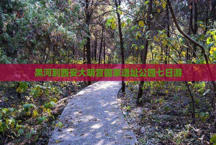 黑河到西安大明宫国家遗址公园七日游
